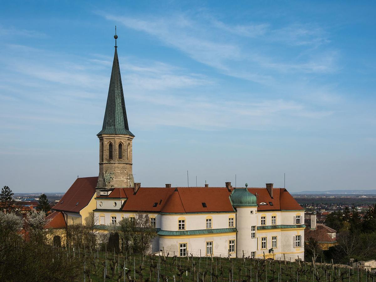 Готель Schloss Ґумпольдскірхен Екстер'єр фото